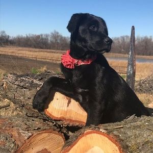 Meet your Posher, Judy kay